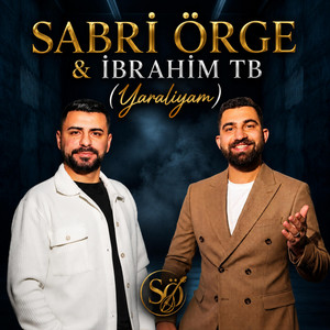 Yaralıyam by Sabri orgeresmi, İbrahim Tb