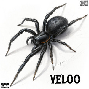 VELOO by Sr Corleone Album Cover