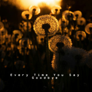 Every Time You Say Goodbye by Vera Nightingale