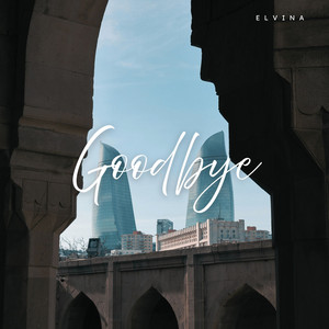 Goodbye - Radio Edit by Elvina