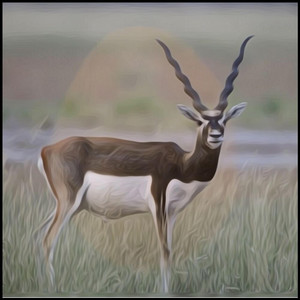 Just Devon - Introduction