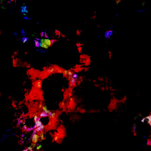 Ritual Salts Revisited