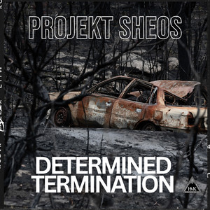 Determined Termination by Projekt Sheos