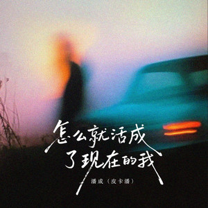 怎么就活成了现在的我 - 伴奏 by 潘成（皮卡潘）