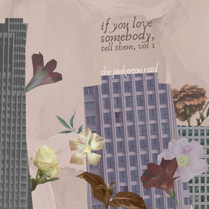 If You Love Somebody, Tell Them by The Pinkerton Raid