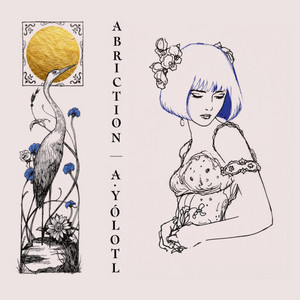 Encrypt by abriction