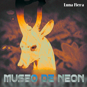 Museo de Neon by Luna Fiera