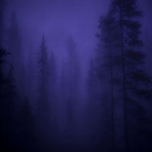 i let it fade by ghosted hearts