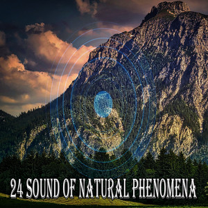 アート・デザイン・音楽 natural phenomenon アート・デザイン・音楽 natural phenomenon
