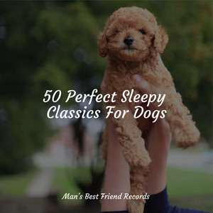 50 Perfect Sleepy Classics For Dogs album