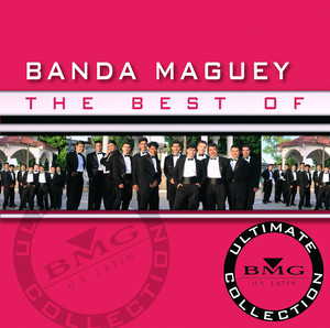 Lagrimas de Sangre by Banda Maguey