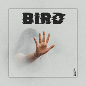 Bird by Destinyshop