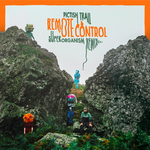 Remote Control (Superorganism Remix)