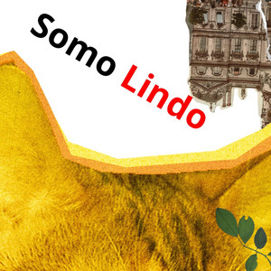 Somo Lindo