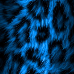 wind it remix by yungfuego