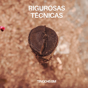 Rigurosas Técnicas by Titingo45 Bm