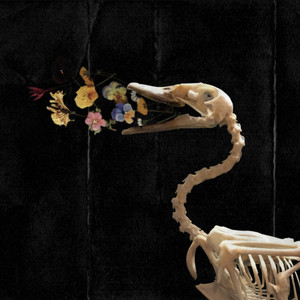 Freak Show by Nussy Andrews