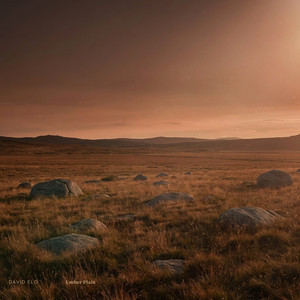 Umber Plain by David Elo