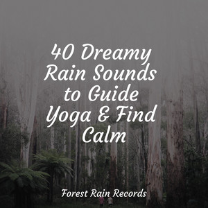 40 Dreamy Rain Sounds to Guide Yoga & Find Calm album