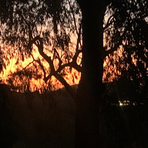 5PM