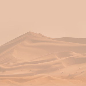 מעגלים by רועי דורון