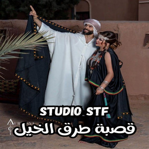 Studio Stf - قصبة طرق الخيل