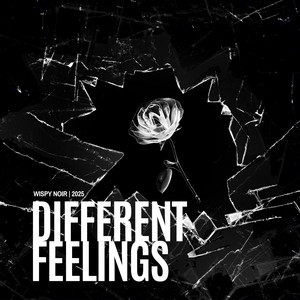 Different Feelings - First Vers by Wispy Noir
