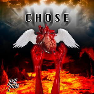Chose by Levi Todd