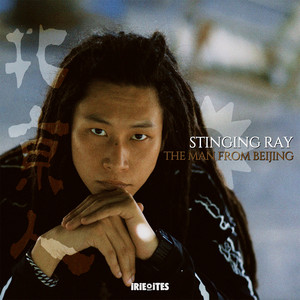Bird On The Wire by Stinging Ray, Irie Ites, King Jammy