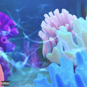 Spliimy Boyzz - In Luv Wit The Band$ (feat. lilbabystool, Big Brady J & Young Snez) [Radio Edit]