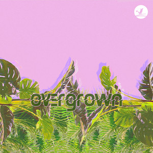 Overgrown by catch92