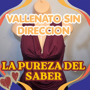 VALLENATO SIN DIRECCION by LA PUREZA DEL SABER