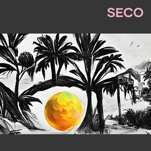 Seco by Rumbled