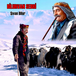 Bilurvan Sebri - Kaval