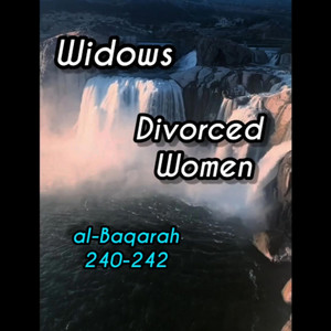 2, Surah Al-Baqarah: 240-242 by mylordtakemeaway