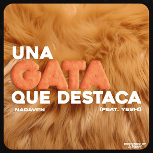Una gata que destaca by Nadaven, YESH!