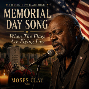 When The Flags Are Flying Low by Old Blues Souls