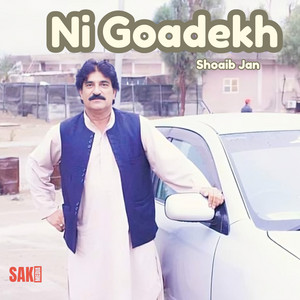 Shoaib Jan - Neto Jange