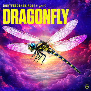 DRAGONFLY by Dontfeedthebirds!