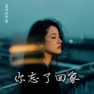 你忘了回家 by 蓝沐 Blue Mu