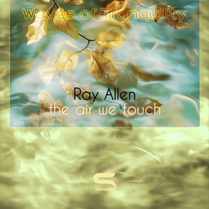 The Air We Touch by Ray Allen