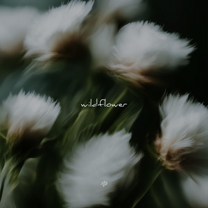 Wildflower