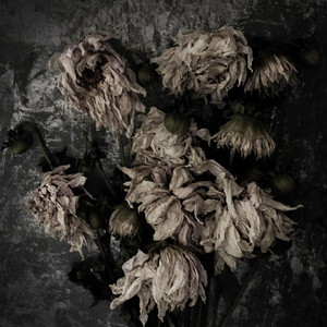 Sweet Decay by Kaevryn