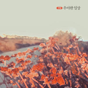 우아한 일상