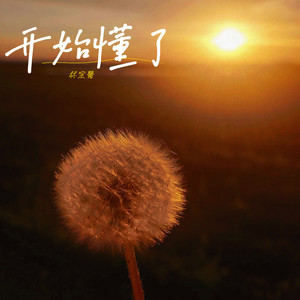 开始懂了 - 林宝馨版 by 林宝馨
