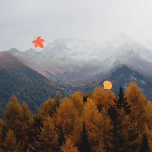 Bruna Alsebyani - Positivity