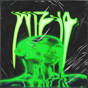 WIZJA
