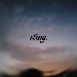 Portada de stray.