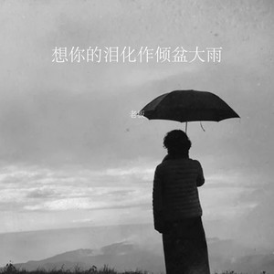 想你的泪化作倾盆大雨 by 老板