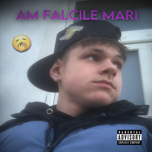 denisss - Am falcile mari